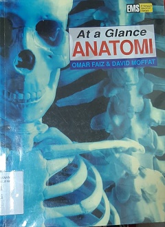 klik untuk memperbesar gambar